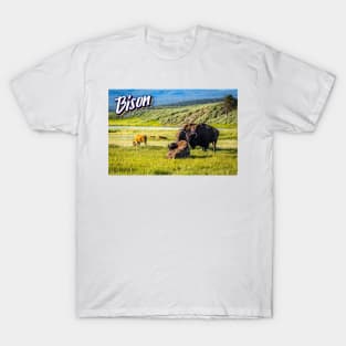 Bison at Yellowstone T-Shirt